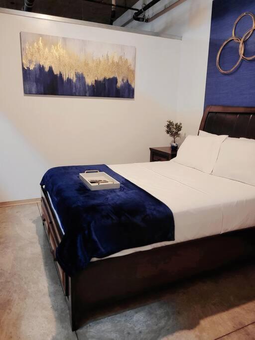 Staycation City Loft Free Gated Parking Saint Louis Eksteriør billede